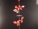 DEPECHE MODE - Violator (reissue) - Vinyl (LP)