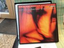 patricia barber vinyl MFSL Sehr Selten