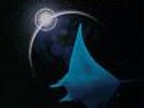 The Songs Of Distant Earth [VINYL] Mike Oldfield Vinyl