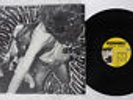 MUDHONEY SUPERFUZZ BIGMUFF SUB POP SP21 US VINYL 12