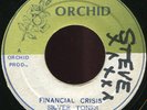 Silvertones - Financial Crisis JA Orchid 7