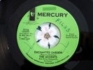 ACCENTS | Enchanted Garden / Tell Me Now | Northern Soul 45 Promo | NM-