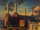 Pink Floyd Animals Vinyl LP Album New
