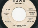 INFERNOS I'm Comin' Home Goin' Cruisin' HAWK Obscure Surf Fuzz 45 Hear