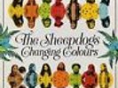 Sheepdogs - Changing Colours [New Vinyl LP] Canada - Import