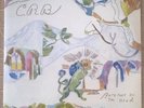 CHRIS ROBINSON BROTHERHOOD - BAREFOOT IN THE HEAD - NEW VINYL 180g -Black Crowes