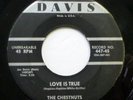 CHESTNUTS 45 Love is true / It's you I love  DAVIS  VG++  Doowop Kz37
