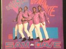SAM and DAVE 