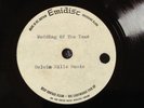 ACETATE - HOAGY POGEY - WEDDING OF THE YEAR rare UK 1973 DERAM RECORDS ACETATE