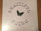 Stone Roses beautiful thing Ian brown squire 12 Inch vinyl mint Manchester indie