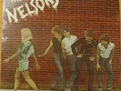 THE NELSONS Bag Your Face lp Rare Private Press TX Power Pop Punk Wave KBD Rare