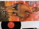 LP Stud September 20290549 BASF German Vinyl GF 3952