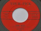 Michigan Garage Tittyshaker Instro 45 - LAFAYETTE & LESABRES - Free Way - YOUR 