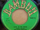 JACKIE MITTOO DARK OF THE MOON MAN PON STOP OG UK BAMBOO 7