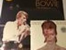 David Bowie Live In Berlin / iSelect LP Brooklyn Exhibition Vinyl Exclusive