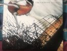Circa Survive Juturna Vinyl Record Green White Marble Anthony Green