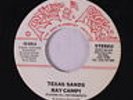 RAY CAMPI: Texas Sands / How Low Can You Feel 45 Rockabilly