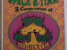 ORANGE ALABASTER MUSHROOM Space & Time: A Compendium Original UK LP Psych Garage