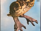BRAINCHILD 'HEALING OF THE LUNATIC OWL