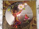Future Sound Of London - Amorphous Androgynous - Alice in Ultraland 2xLP LTD 046
