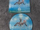 IRON MAIDEN SEVENTH SON OF A SEVENTH SON LIMITED EDITION  VINYL PICTURE DISC