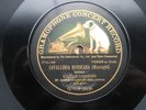 10” CONCERT RECORD GRAMOPHONE – EGIDIO CUNEGO
