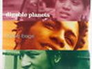 Digable Planets - Nickel Bags 12