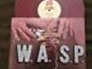Blackie Lawless signed - W.A.S.P. Animal (f**k like a beast) 12