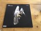 the Courteeners LP falcon 2010 Polydor 1st press Very rare