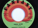 Rock 45 CREEDENCE CLEARWATER REVIVAL Green River FANTASY VG++ promo HEAR