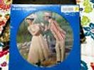Walt Disneys Mary Poppins Picture Disc LP Record Album Julie Andrews Van Dyke