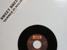 LP&45 Sweet Breeze Summer In Malibu LCS 2003 45LCS 2001 