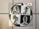 No Doubt Push And Shove Vinyl Record Gwen Stefani Rare