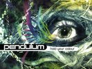 Pendulum – Hold Your Colour, 3 × Vinyl, 12