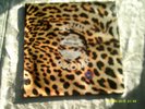 Paul McCartney Album/LP 