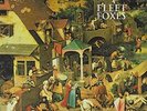 FLEET FOXES-FLEET FOXES  (US IMPORT)  VINYL NEW