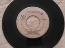THE RENEGADES - YOU'VE LOST THE LOVE / WHY MAKE ME CRY / MERRITONE - 7''/ VG