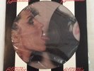 BLONDIE PARALLEL LINES VINYL LP LIMITED EDITION PICTURE DISC 1978 EX/EX CCH 1192