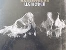 The Raconteurs - Live in London 2 x lp Third man records vault TMR018.