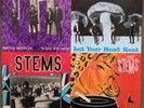 THE STEMS 4x7