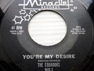 EQUADORS 45 YOU'RE MY DESIRE mint minus b/w SOMEONE TO CALL MY OWN vg++ kz112