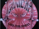 PANTERA I Am The Night LP Inner + Fan Club sheet Metal Magic MMR 1985