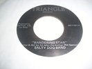 SALTY DOG BAND - WANDERING STAR - TRIANGLE  (ROCK / METAL - 45 RPM)