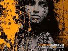 Orange Blossom - Everything Must Change
