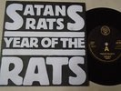 SATAN'S RATS - YEAR OF THE RATS /LOUISE  ** 1978 UK  DJM LABEL  ** VG