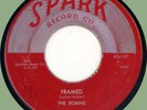 ROBINS Framed / Loop De Loop Mambo 45rpm Spark 1954 original pressing