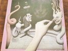 The Chameleons - Strange Times (Vinyl LP)  German - Pink Framing
