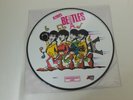 THE BEATLES 'Palais Des Sports' 1965 / Picture Disc / TOP & RAR