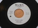 THE RAVEN Calamity Jane/Now She's Gone 45 Garage Mod Soul Dancer HEAR