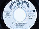 Crossover Soul 45 DONNY MANN Little Golden Band MERCURY VG+ promo HEAR